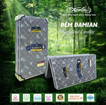Đệm chống thoái hóa 2M DAMIAN 160x190cm