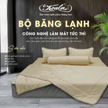 Bộ Chăn Ga Gối Băng Lạnh 01