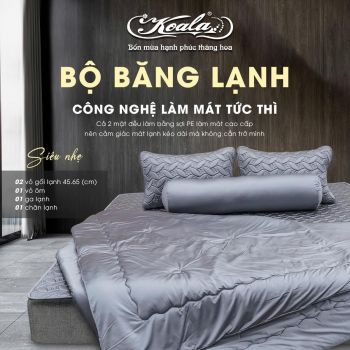 Bộ Chăn Ga Gối Băng Lạnh 02
