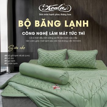 Bộ Chăn Ga Gối Băng Lạnh 04
