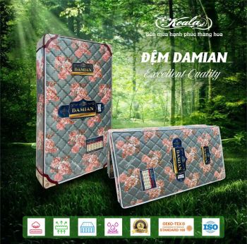Đệm chống thoái hóa 2M DAMIAN 200x220cm