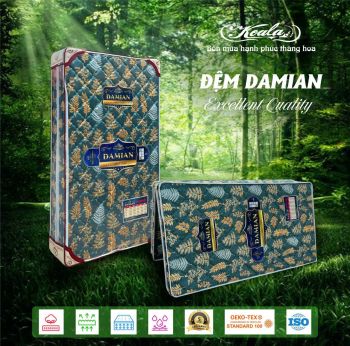 Đệm chống thoái hóa 2M DAMIAN 150x190cm