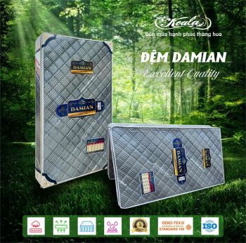 Đệm chống thoái hóa 2M DAMIAN 140x190cm
